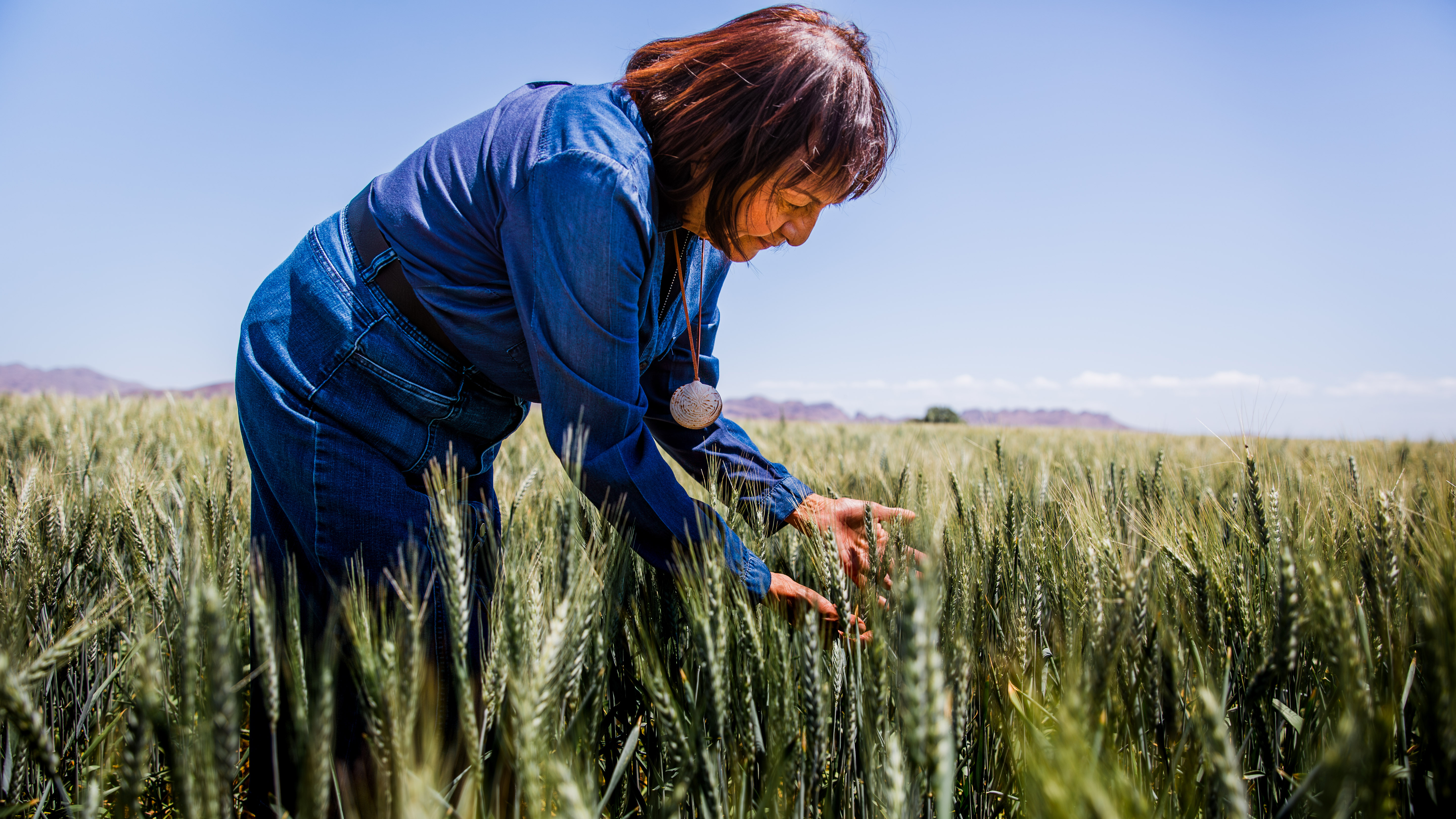 Check for Women’s Work The Untold Story of America’s Female Farmers airing on a public television station near you!